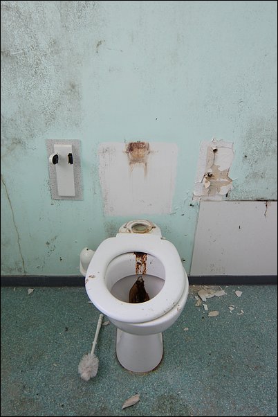 Toilettes super propres