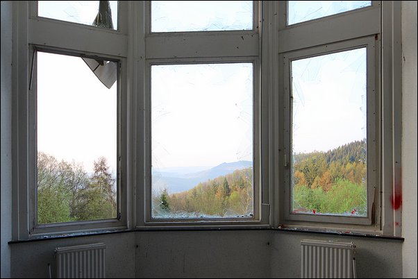 Les fenêtres sur la forêt