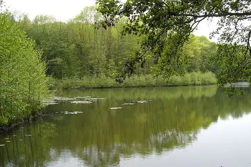 TCHORSKI