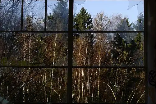 Tchorski