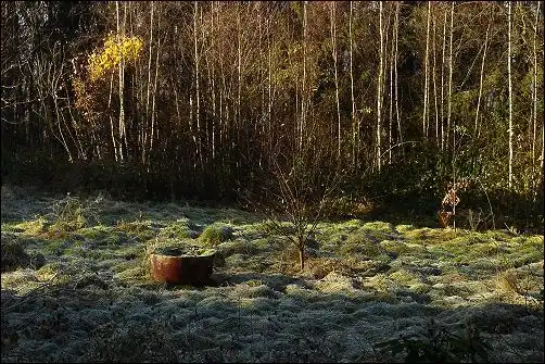 Tchorski