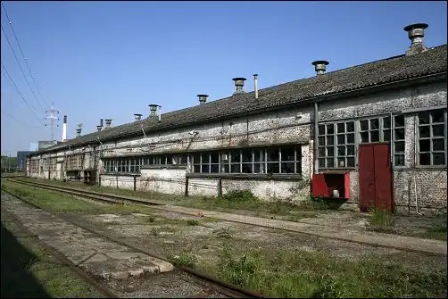 Tchorski