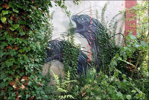 Murènes en urbex