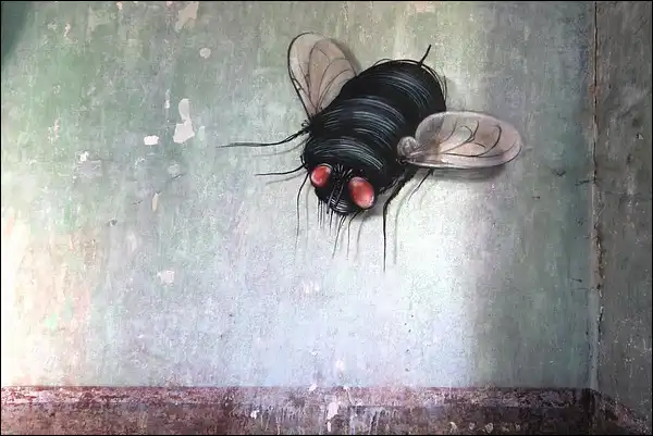 Graffiti de mouche