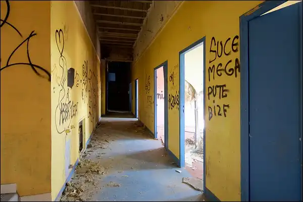 Vandalisme dans la clinique