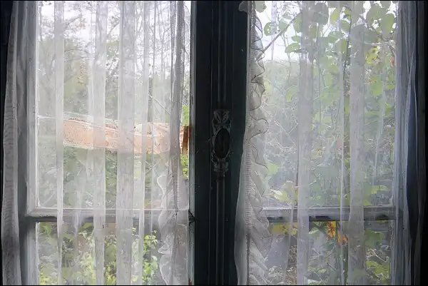 Fenêtre sur l'abandon