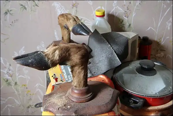 Taxidermie en urbex