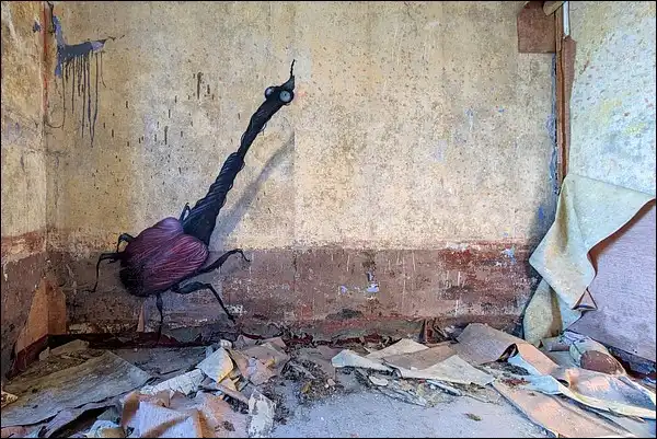 Charançon en urbex