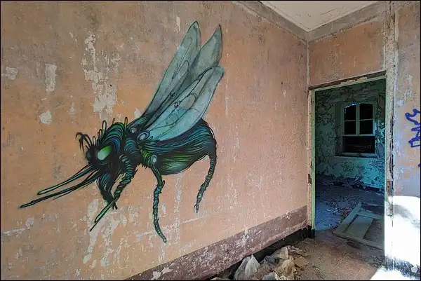 Taon en urbex