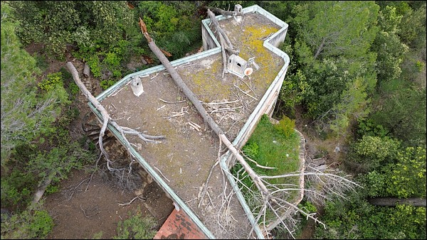 L'arbre tombé sur la maison