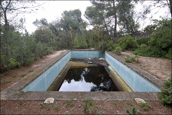 L'ancienne piscine, pleine de grenouilles