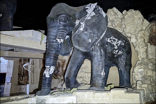 L'éléphant, proche du DJ