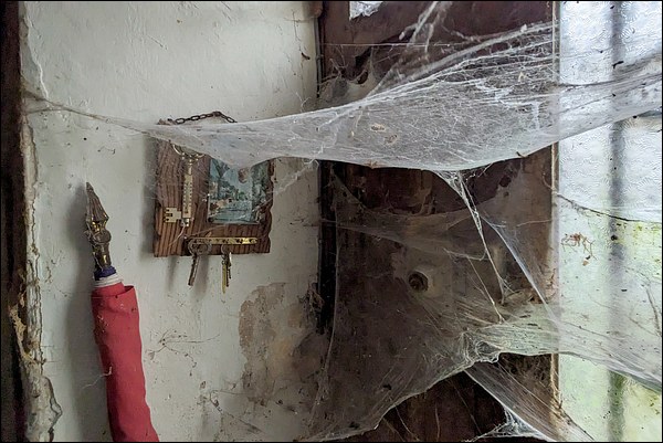 Toiles d'araignées sur l'entrée