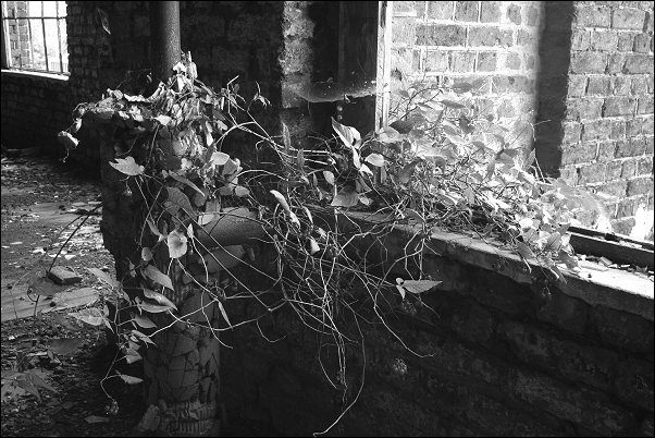 Tchorski